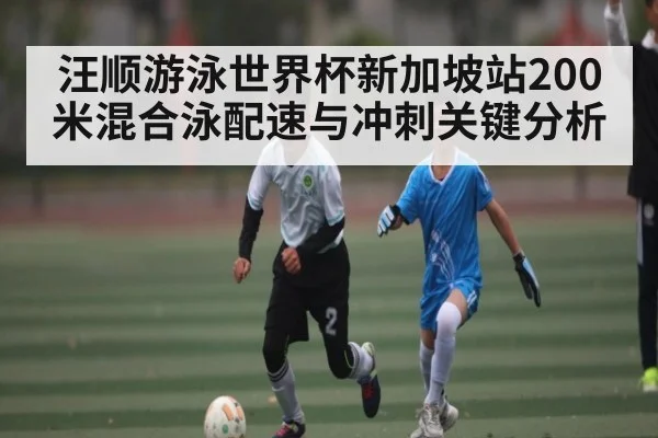 汪顺游泳世界杯新加坡站200米混合泳配速与冲刺关键分析