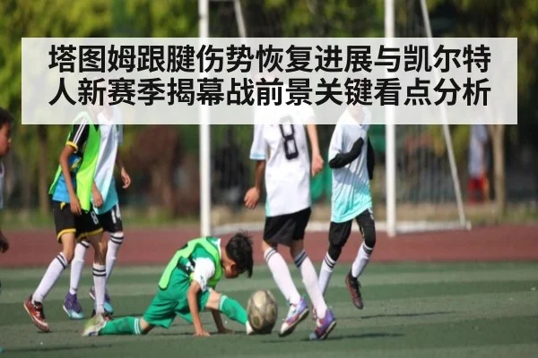 塔图姆跟腱伤势恢复进展与凯尔特人新赛季揭幕战前景关键看点分析